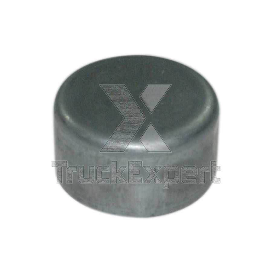 PIN CAP Ø  42 / 23 mm 346 00 898