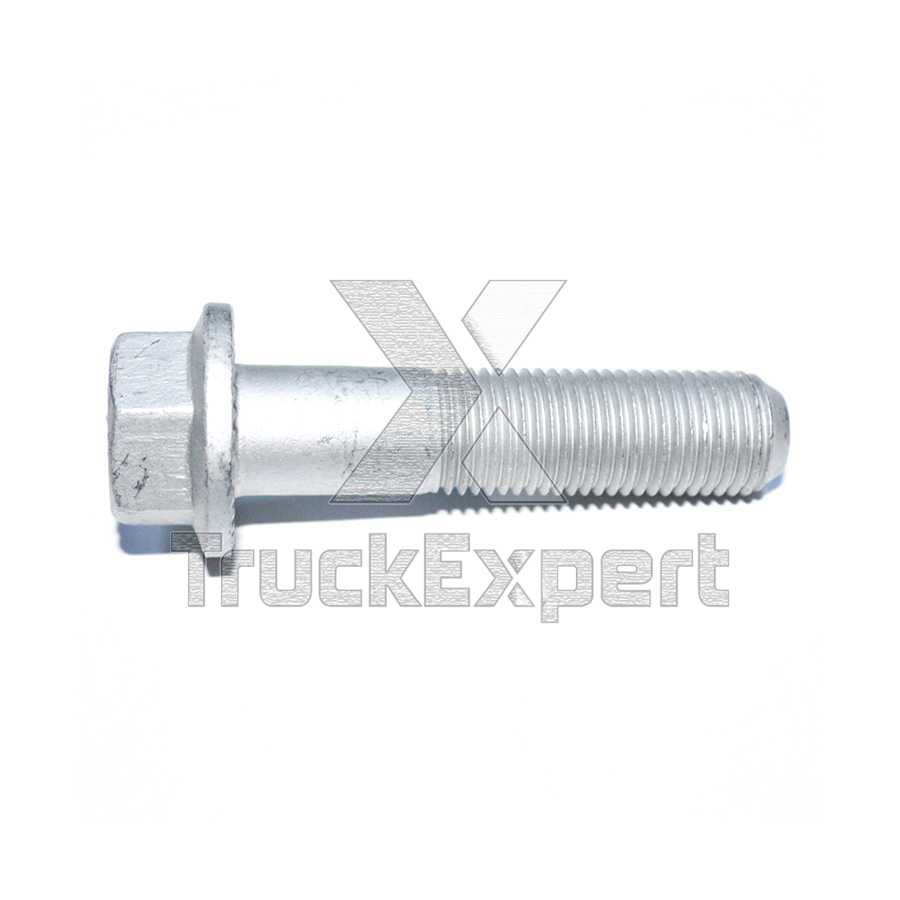 64900200010 SCREW, TRAVERSE